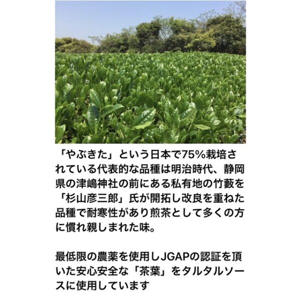 松浦タルタル500g - 画像 (5)
