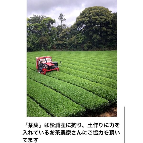 松浦タルタル500g - 画像 (4)